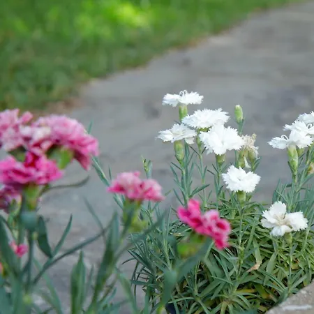 Hébergement de vacances Villa Alex By The 4 Travellers