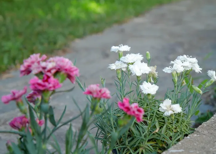 度假居 Villa Alex By The 4 Travellers